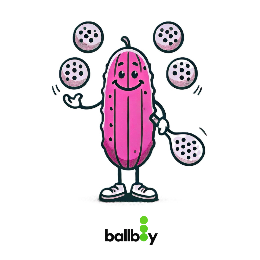 Ballboy™ – Pink Pickleball Holder